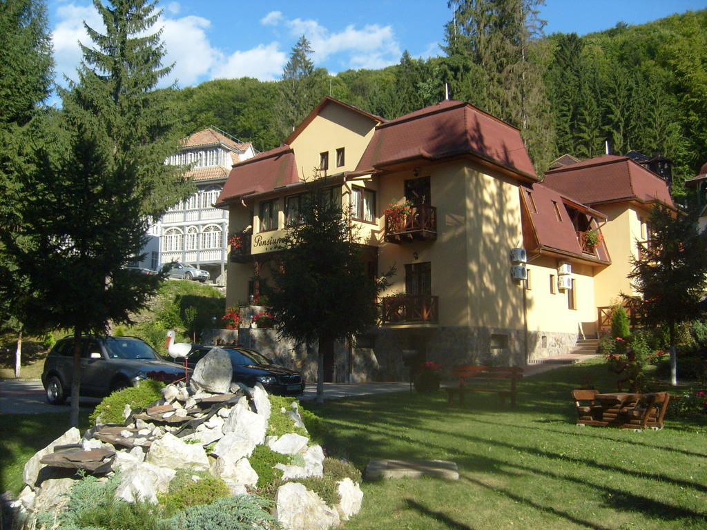 Hotel Pensiunea Speranta Sovata Exterior foto